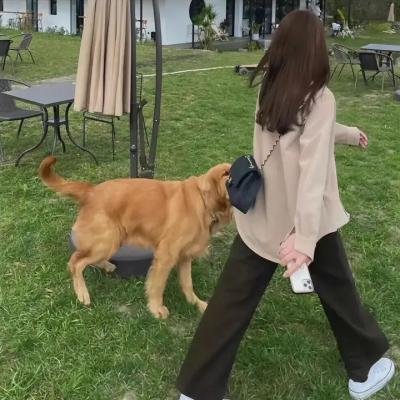 沙漠奇观海报