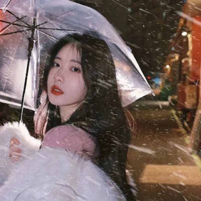 吸血鬼侦探海报